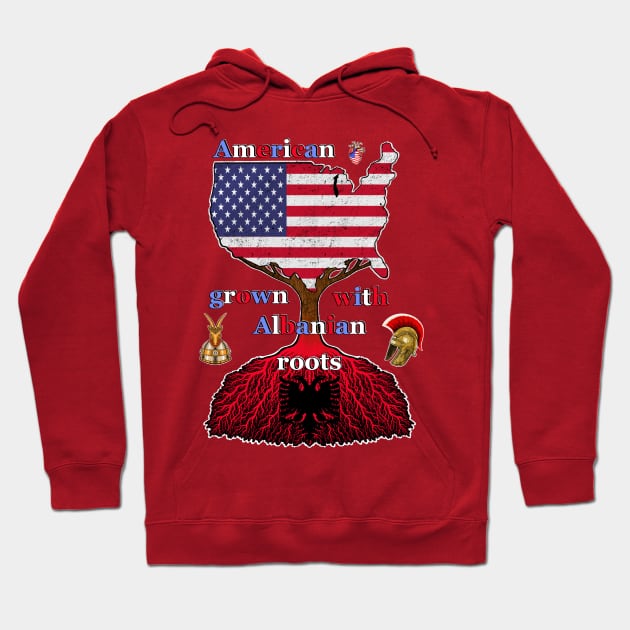 American grown with Albanian roots Hoodie by Artardishop